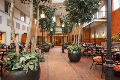 Bright common area with plants and seating