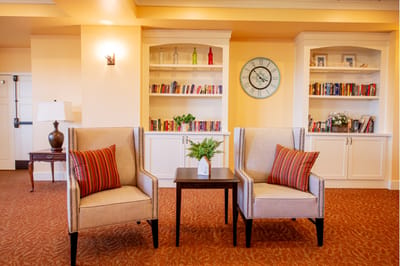 Cozy seating area with bookshelves in the background