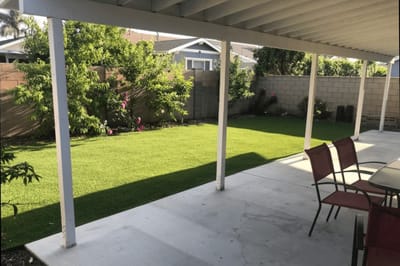 Outdoor space with landscaped grass and seating area