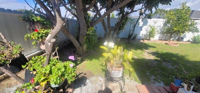 A garden area with plants and flowers