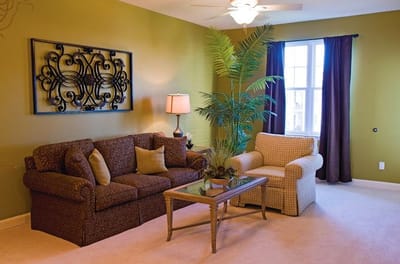 Cozy living room area with seating and plants