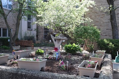 Beautiful garden area with flowering plants and bench