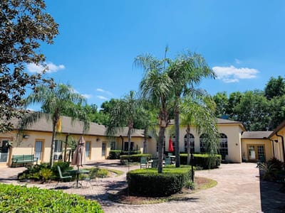 A sunny courtyard with palm trees and seating areas