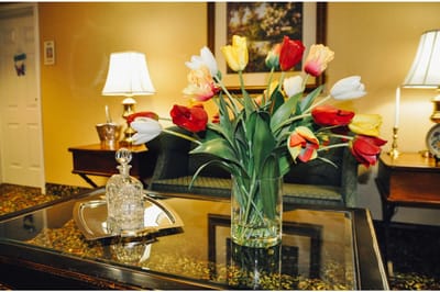 Bright interior setting with flowers and decor