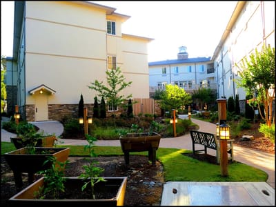 Garden path leading through landscaped area