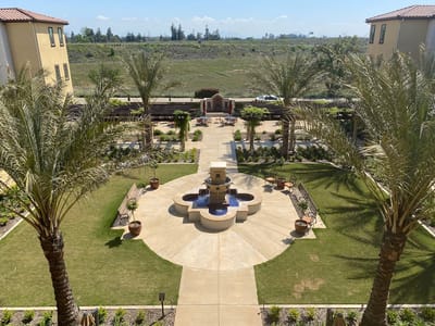 Beautiful outdoor courtyard with fountain and palm trees