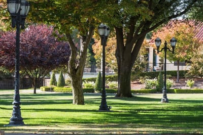 Beautiful outdoor garden area with decorative lampposts