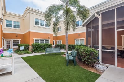 Courtyard with benches and palm trees in a sunny setting