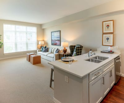 Cozy living room with a kitchen area in a senior apartment