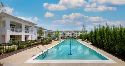 Outdoor swimming pool surrounded by greenery