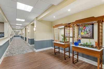 Bright interior hallway with decorative planters