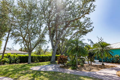 A landscaped outdoor space with trees and plants