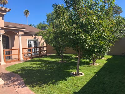 Well-maintained garden with trees at the facility