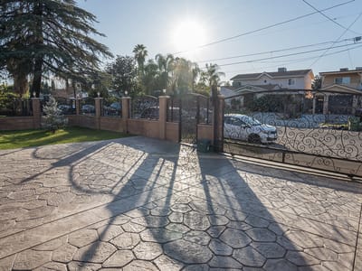 Outdoor view of a paved area and surrounding greenery