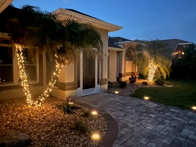 Exterior view of the facility entrance with palm trees lit up
