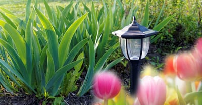 Garden lantern surrounded by blooming flowers