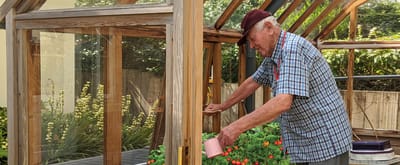 Resident tending to plants in a greenhouse