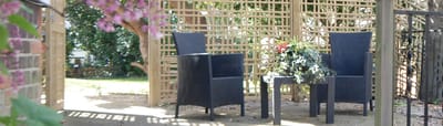 Outdoor seating area with chairs and plants