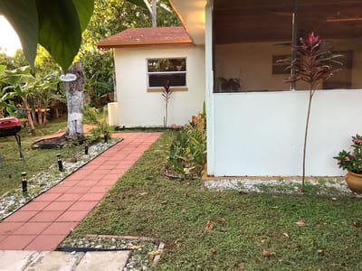 Pathway leading to a small building with garden