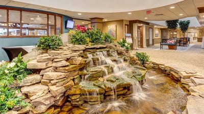 Indoor water feature surrounded by decorative plants