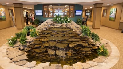 Indoor water feature in a common area