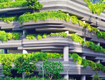 Greenery-covered building exterior