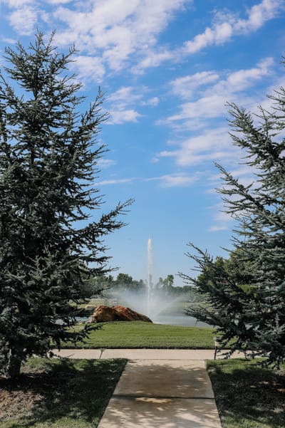 Pathway leading to a fountain in a green outdoor space