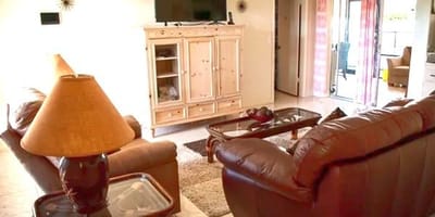 Bright living room with comfortable seating and decor