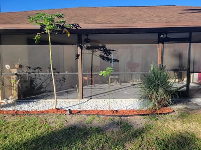 Outdoor garden space with plants and seating area