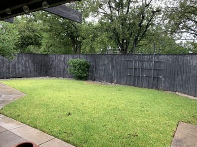 Well-maintained grassy outdoor space with landscaping