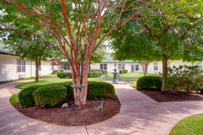 A well-maintained outdoor garden area with trees and walkways