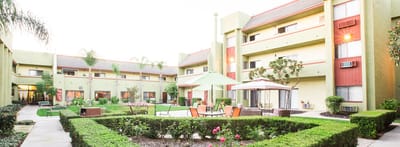 Outdoor garden area with seating and landscaping