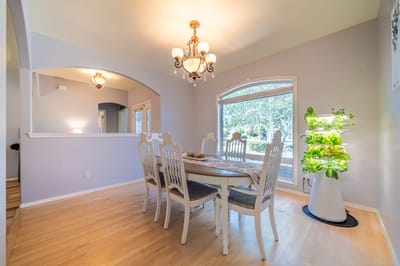 Bright dining area with a table and plants