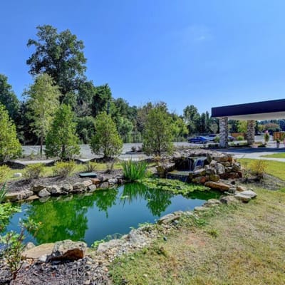 Beautiful outdoor pond surrounded by greenery
