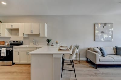 Modern interior kitchen and living area