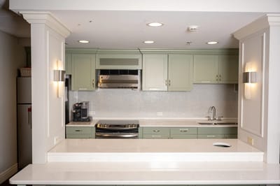 Modern kitchen interior with cabinetry and appliances
