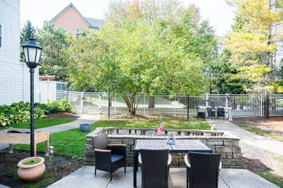 Outdoor seating area with a tree and flags