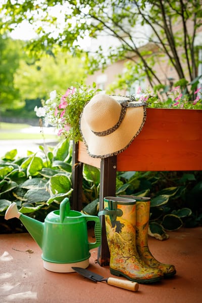 Watering can and gardening tools near blooming flowers