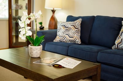 Cozy living room with a blue couch and decorative plant