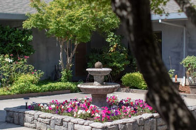 Garden with a fountain and colorful flowers