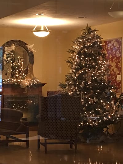 Decorated common area with a Christmas tree and seating
