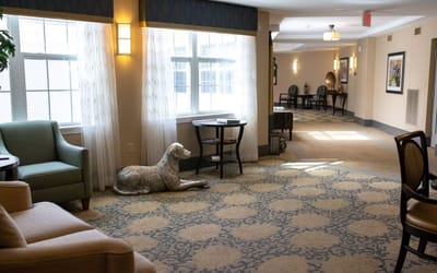 Interior lobby lounge area with decorative dog sculpture
