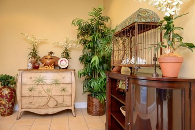 Interior space with decorative furnishings and plants