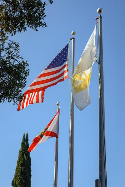 Flags flying against a clear blue sky
