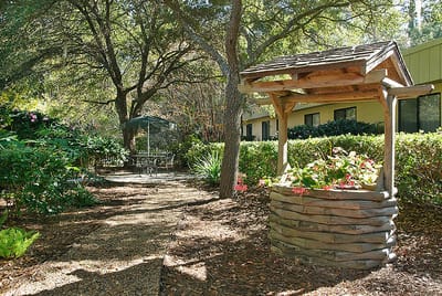 A peaceful garden path with a well and seating area