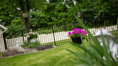 Colorful flowers in a pleasant garden setting