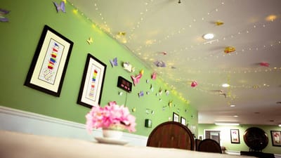 Decorative interior with butterflies on the wall