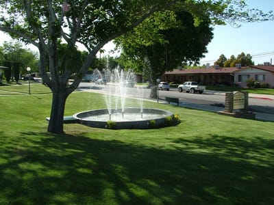 Fountain in a landscaped outdoor area
