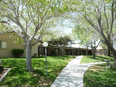 Pathway leading to residential buildings surrounded by trees