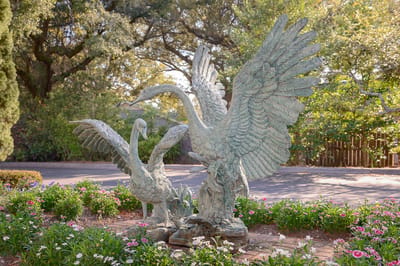 Swan sculpture surrounded by flowers in an outdoor space